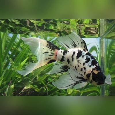 合肥说南方相关长尾关键词有哪些