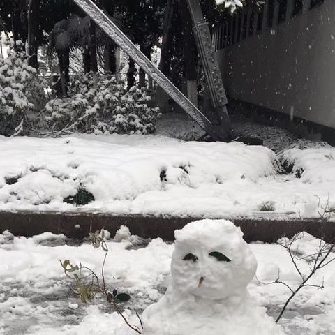 南通雪景美文欣赏长尾关键词有什么