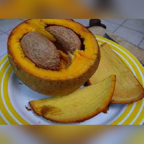 20度适合种什么水果