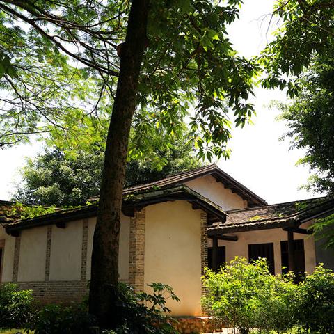 厦门林语花溪的相关长尾关键词有哪些