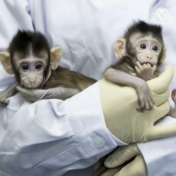 河南全息剧的相关长尾关键词有哪些