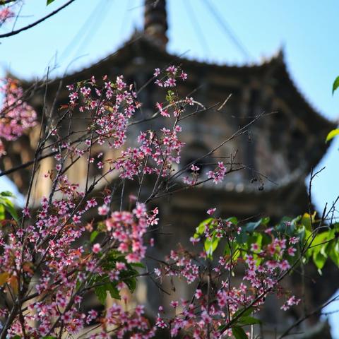 为什么福建比泉州好玩