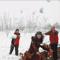请问武汉一般几月份开始下雪？