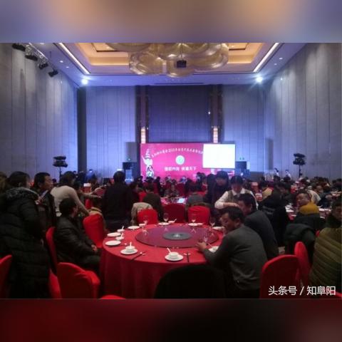 杭州阜阳商会的相关长尾关键词有哪些