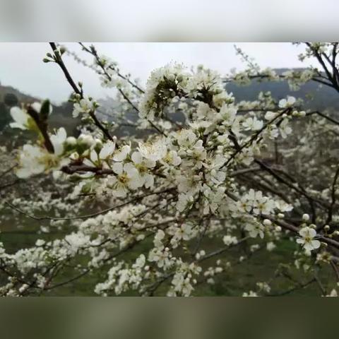 桂林到荔浦最快几点相关长尾关键词有哪些