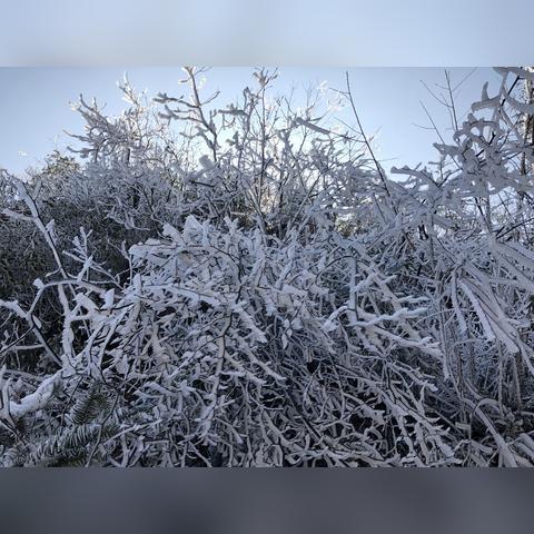 广旅集团桂林相关长尾关键词有哪些