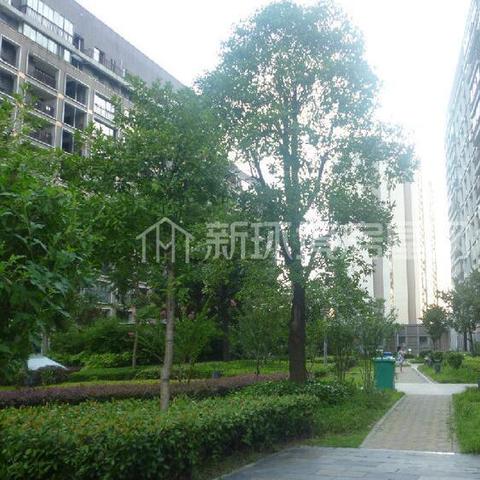 长沙市万国城楼盘怎么样