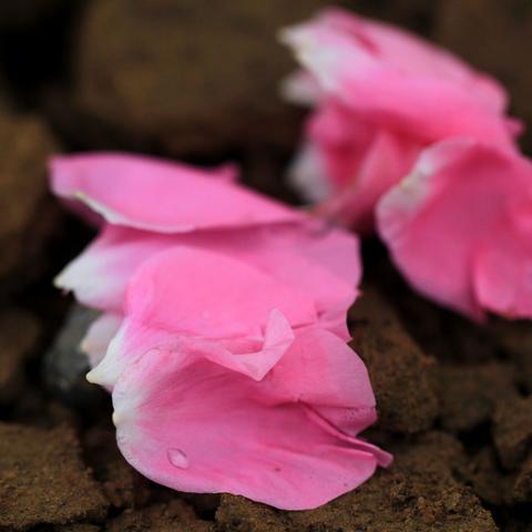 郑州市气温分析的长尾关键词有哪些