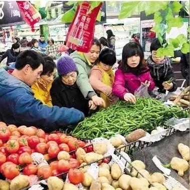【杭州今日菜价】2025年5月17日杭州菜价是多少