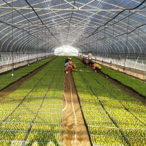 南通市托管哪里有