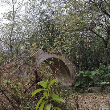 广东佛山市乐从码头的长尾关键词有什么