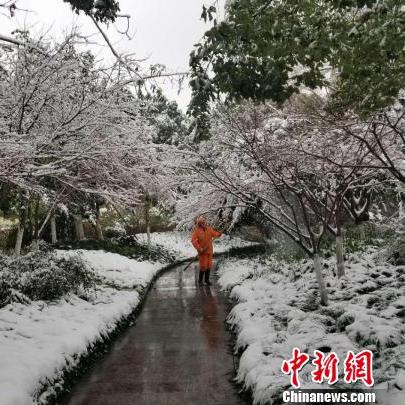 2025.11.12温州今日气温变化情况