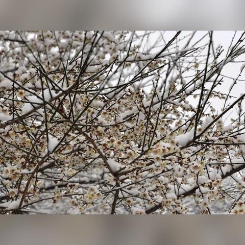 义乌天气怎么样