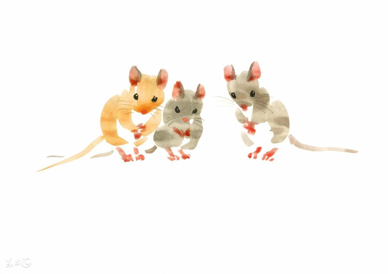 怀孕了梦到好多蛇紧追我弟咬,解读孕期梦境中的深层含义 怀孕了梦到好多蛇紧追我弟咬,解读孕期梦境中的深层含义