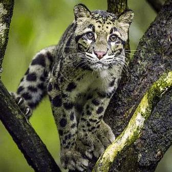 王者荣耀图片大全女生的长尾关键词是什么