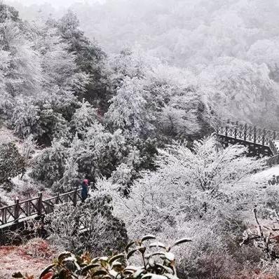 紫微斗数里的缘分地图：你的前世藏着哪些未解之缘