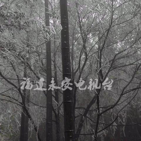 福建永安 气温怎么样