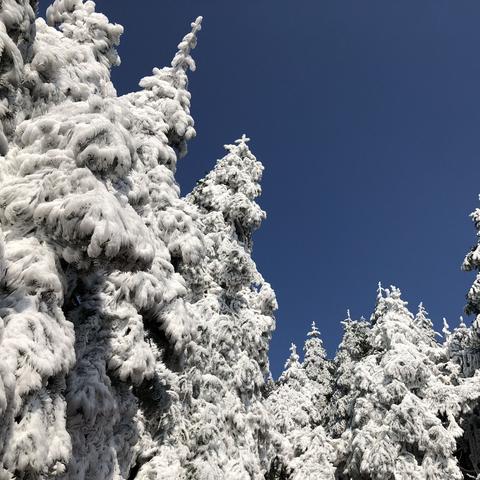 桂林市哪些区下雪最多