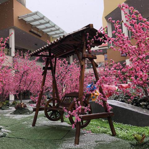 哈尔滨 杉杉奥特莱斯相关长尾关键词有哪些