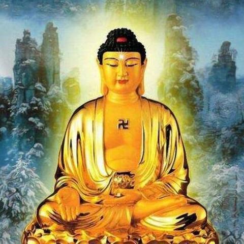 生肖兔十年的运势(属兔人今后十年大运)