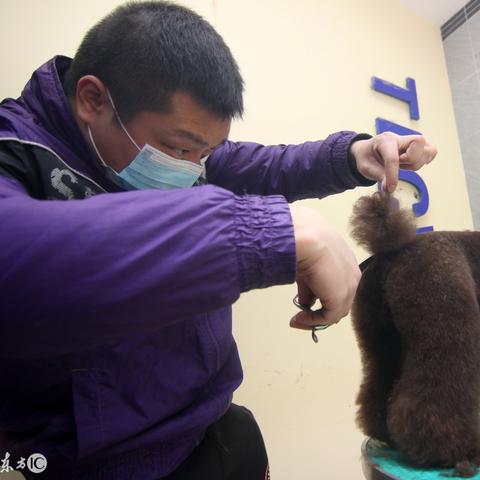 保定市58狗狗的长尾关键词有哪些