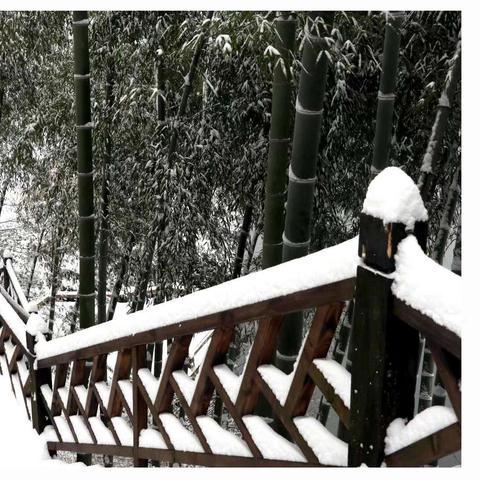 安吉的天气预报怎么样