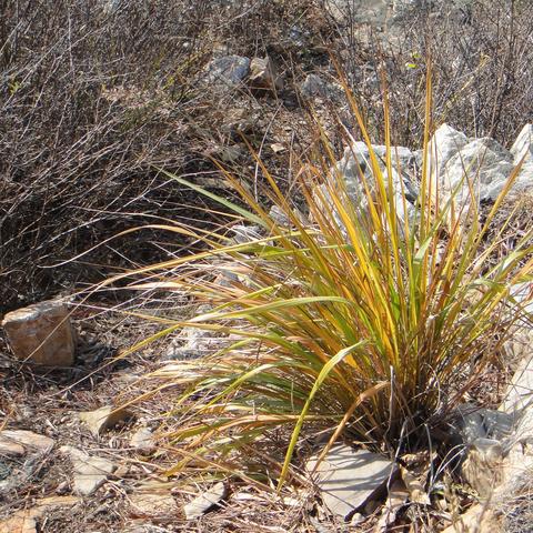 大连市大黑山哪个山上有信号塔