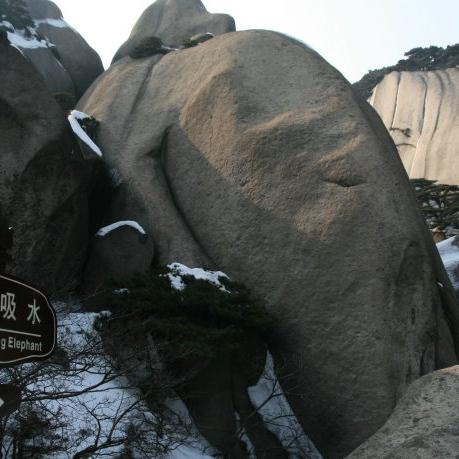 温州市天柱风景区在哪里