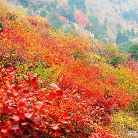 北京秋天的天气怎么样