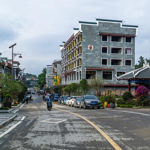 桂林市养犬直播网站有哪些