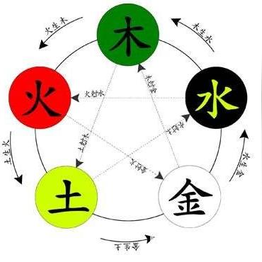 五行属木的生肖运势(五行属木 生肖)