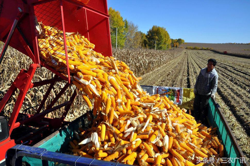 【吉林新增1730例本土确诊病例
,吉林新增1730例本土确诊病例多少】-图1 【吉林新增1730例本土确诊病例
,吉林新增1730例本土确诊病例多少】-图1