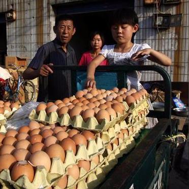 广州市肉牛屠宰场有多少