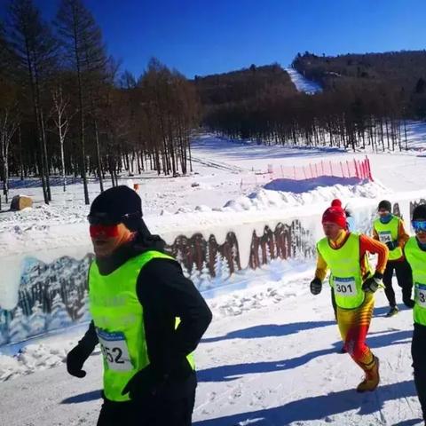 哈尔滨到铁力物流相关长尾关键词有哪些