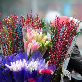 春节兰州市哪里好玩