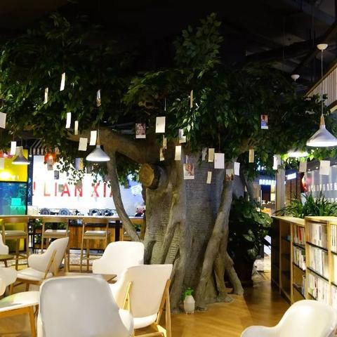 石家庄市第二十中学在哪里