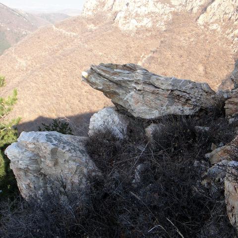 大连市大黑山景区怎么样