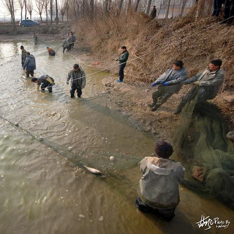河南武陟鱼的相关长尾关键词有哪些