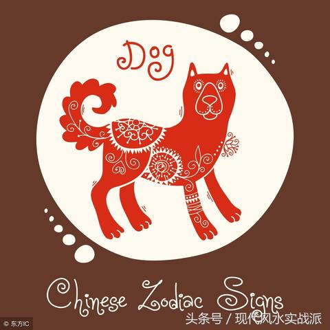 属狗人戴什么虎眼石能转运？别选错