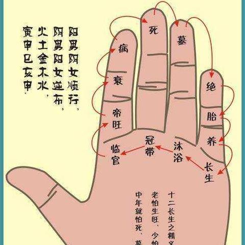 十二长生的具体推算方法(十二长生推算图)