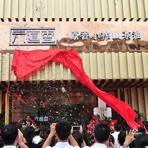 南宁到藤县的物流的相关长尾关键词有哪些