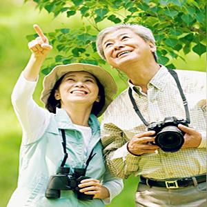 跟AI聊聊紫微斗数，把命运摊开给你看