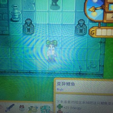 星露谷物语鱼王挑战：如何成为钓鱼界的终极王者