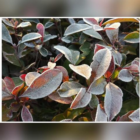 宁波全年气温曲线的长尾关键词有哪些