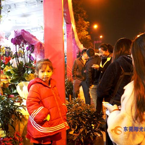 东莞市哪里有夜花市