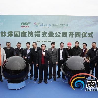 大王椰桂林能种吗的相关长尾关键词有哪些