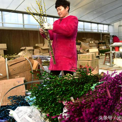 网络营销怎么创业的