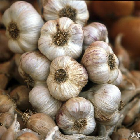 山东菏泽市洗衣服抖音团购的长尾关键词有什么