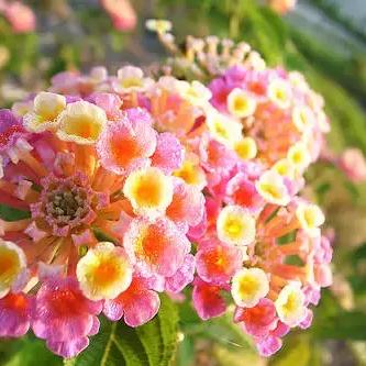 兰州市过年一家人去哪里