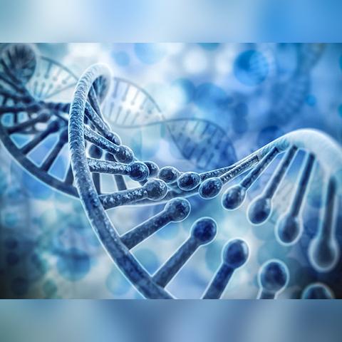 什么是卵巢囊肿